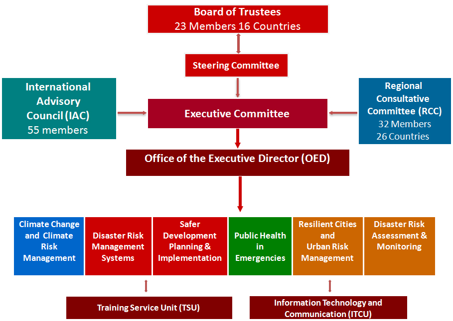 Risk Management Organization Chart