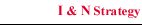 I&N Strategy