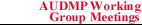 AUDMP Working Group Meeting